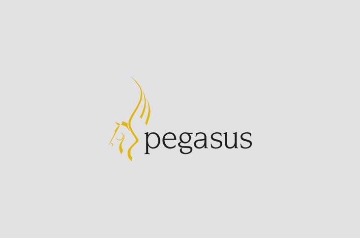 pegasus software integration merit software